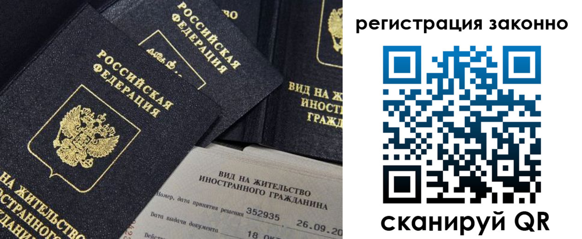 прописка поиск в Александровске
